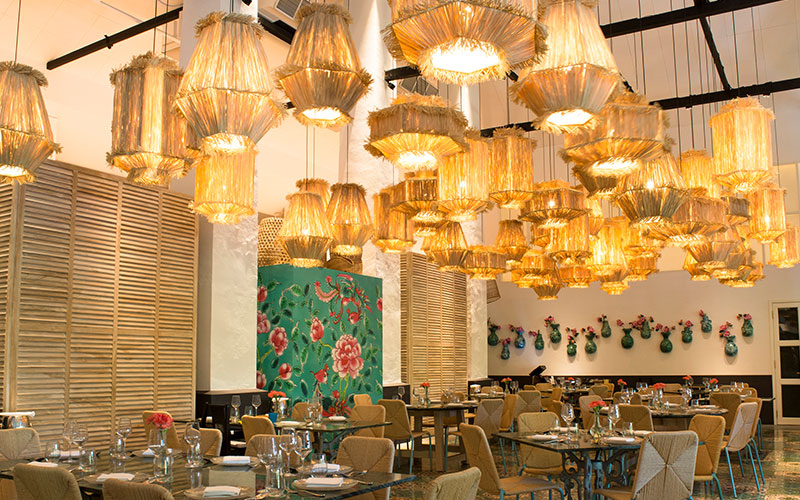 CANDLENUT COMO GROUP